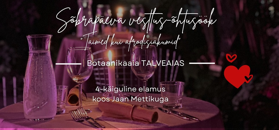 Romantiline vestlus-õhtusöök 