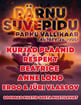 Pärnu Suvepidu 2025