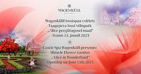 Wagenkülli lossispaa esitleb: Taagepera lossi võlupark ''Alice peeglitagusel maal''