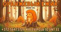 Oranž siil / Оранжевый ежик - Vene Noorsooteater
