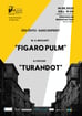 ''Figaro pulm'' ja ''Turandot'' / Narva Ooperipäevad 2025