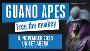 Guano Apes