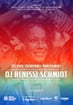 DJ Henessi Schmidt. Festival Taevapargi pühitsemine