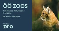 Öö Zoos - hilisõhtused ekskursioonid loomaaias 2026