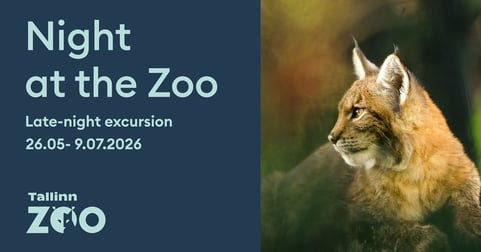 Öö Zoos - hilisõhtused ekskursioonid loomaaias 2026 - inglise keeles / Põhjavärav grupp 4