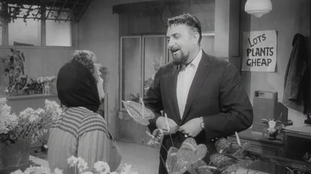 010315 / Väike õuduste pood