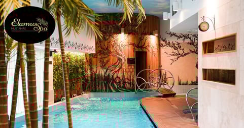 Elamus Spa Pilet ühele / Perepilet / Kinkekaart