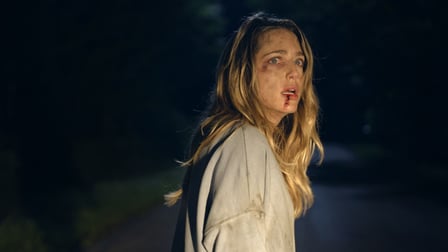 020217 / Võõras lähedus