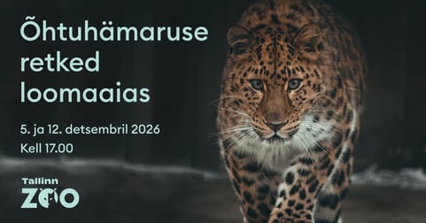 Tallinna loomaaia ''Retked õhtuhämaruses'' 2026 - eesti keeles / Läänevärav grupp 3