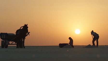100217 / Maa sool