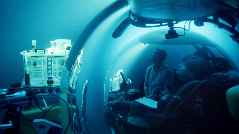 170218 / Elu ookeani valguses