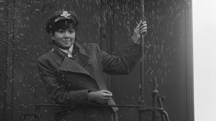 030619 / Pingsalt valvatud rongid