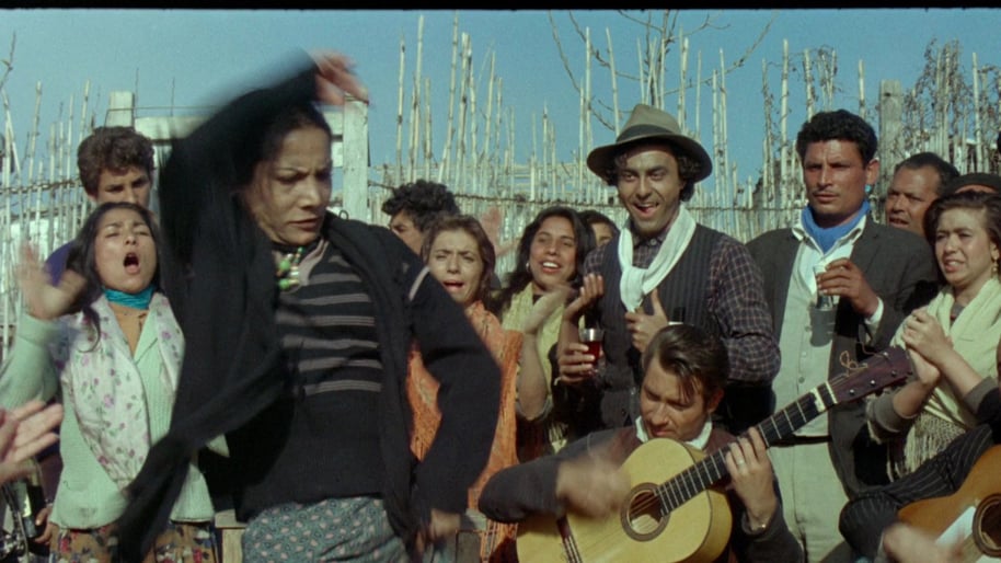 160215 / Tarantode lugu