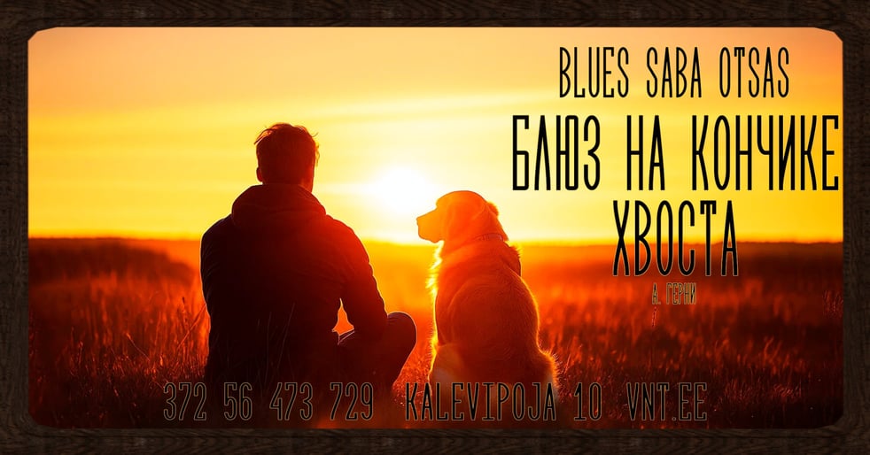 Bluus saba otsas /  Блюз на кончике хвоста - Vene Noorsooteater