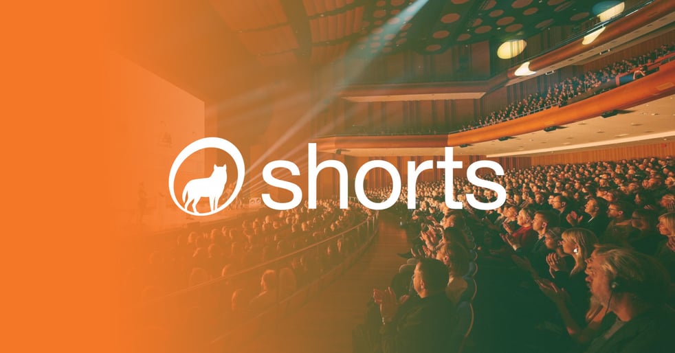 161618 / Shorts võidufilmid 2025