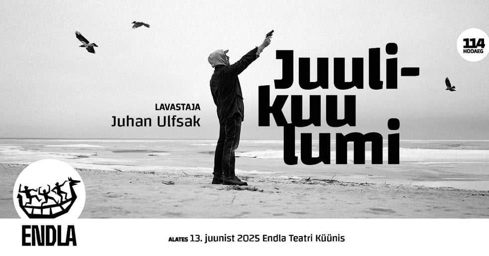 Juulikuu lumi / Endla Teater