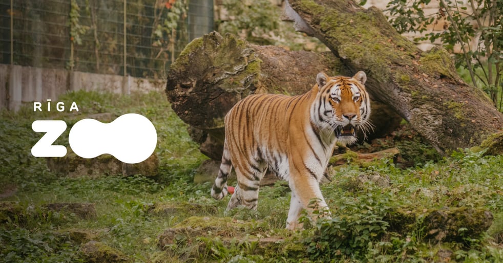Rīga ZOO apmeklējums  Ziemas sezona (līdz 30.04.2026.)