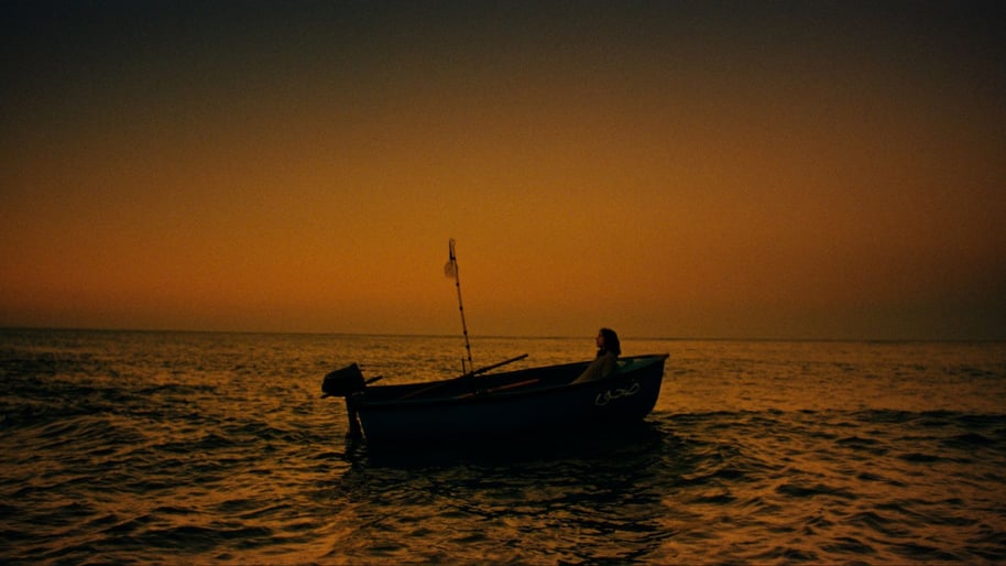 163220 / Nomaadi vari