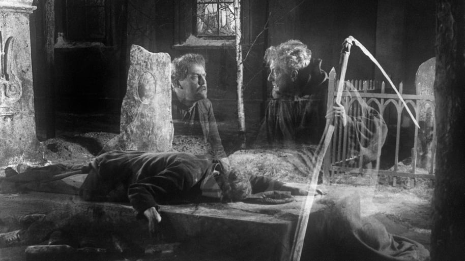 131717 / Surmakutsar