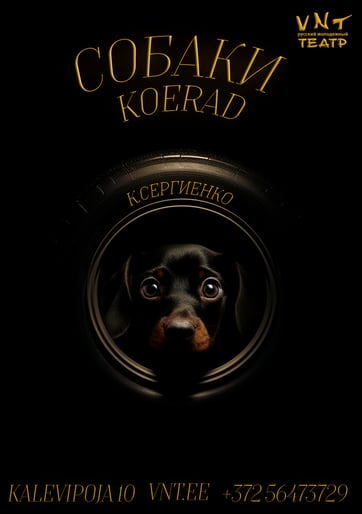 Koerad / Собаки - Vene Noorsooteater