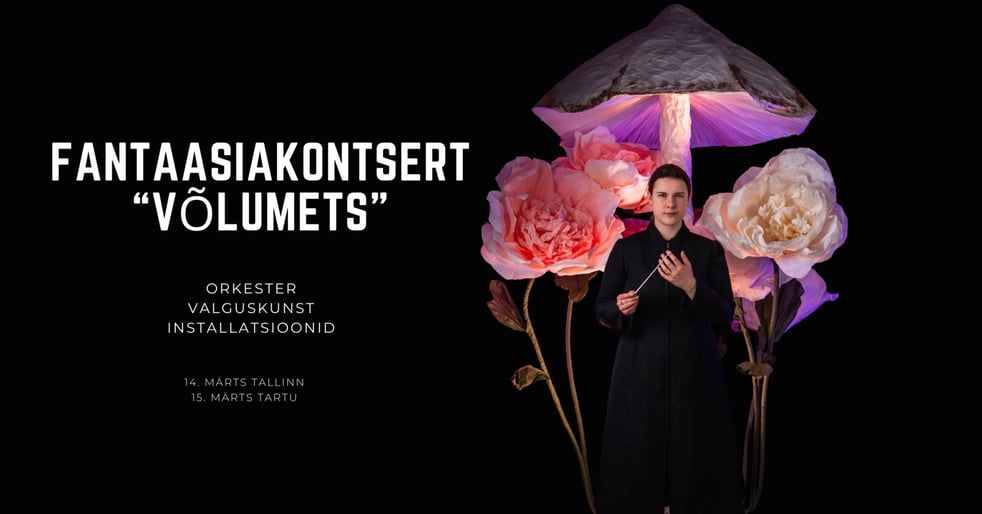 Fantaasiakontsert ''Võlumets''  orkestrimuusika ja ruumikunst