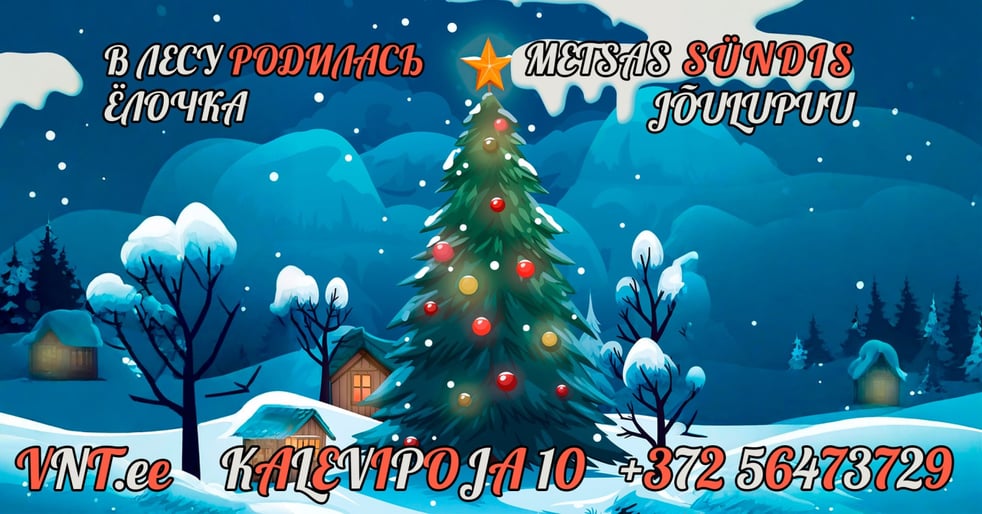 Meil metsas sirgus kuuseke / В лесу родилась ёлочка