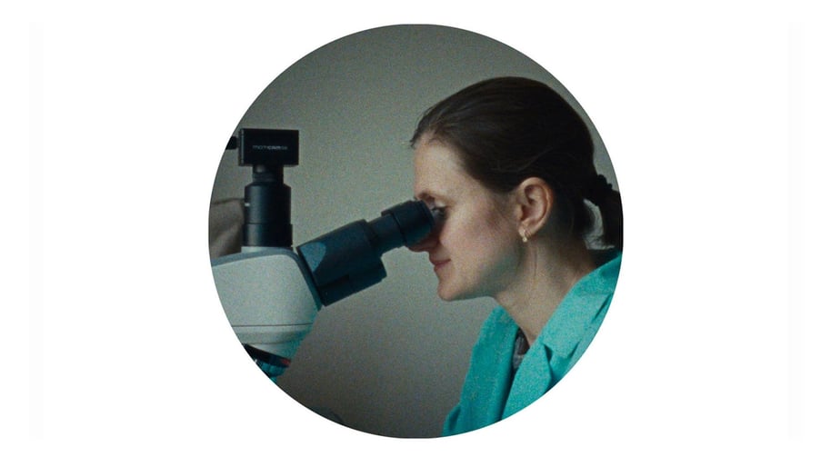 140721 / Pühad hävitajad