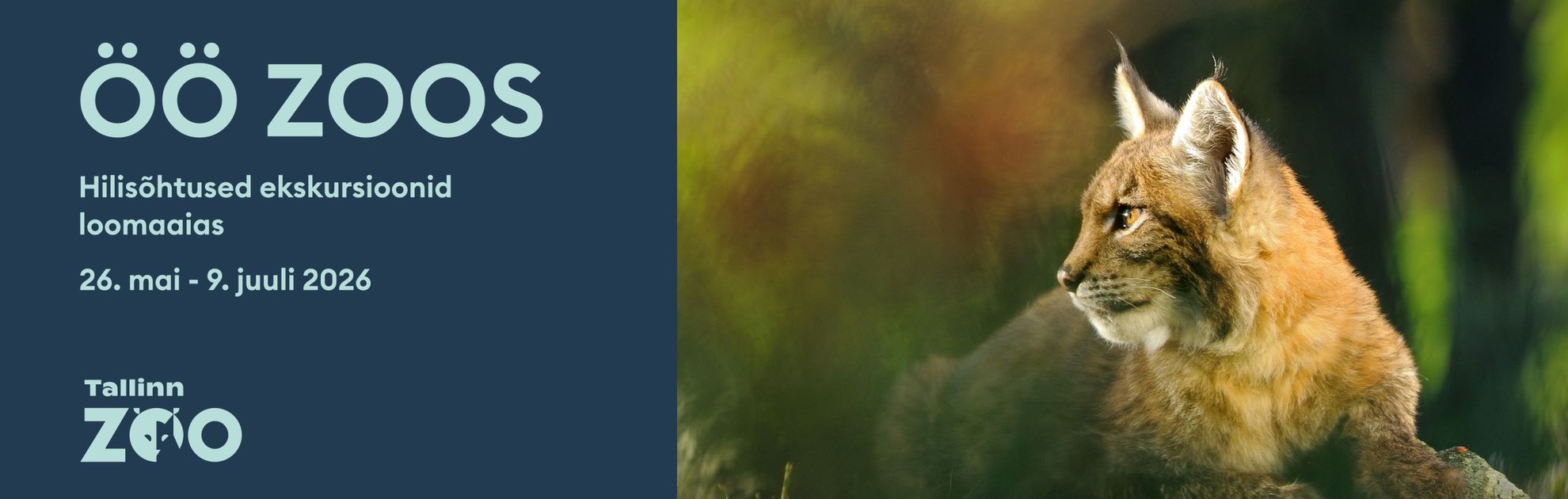 Öö Zoos - hilisõhtused ekskursioonid loomaaias