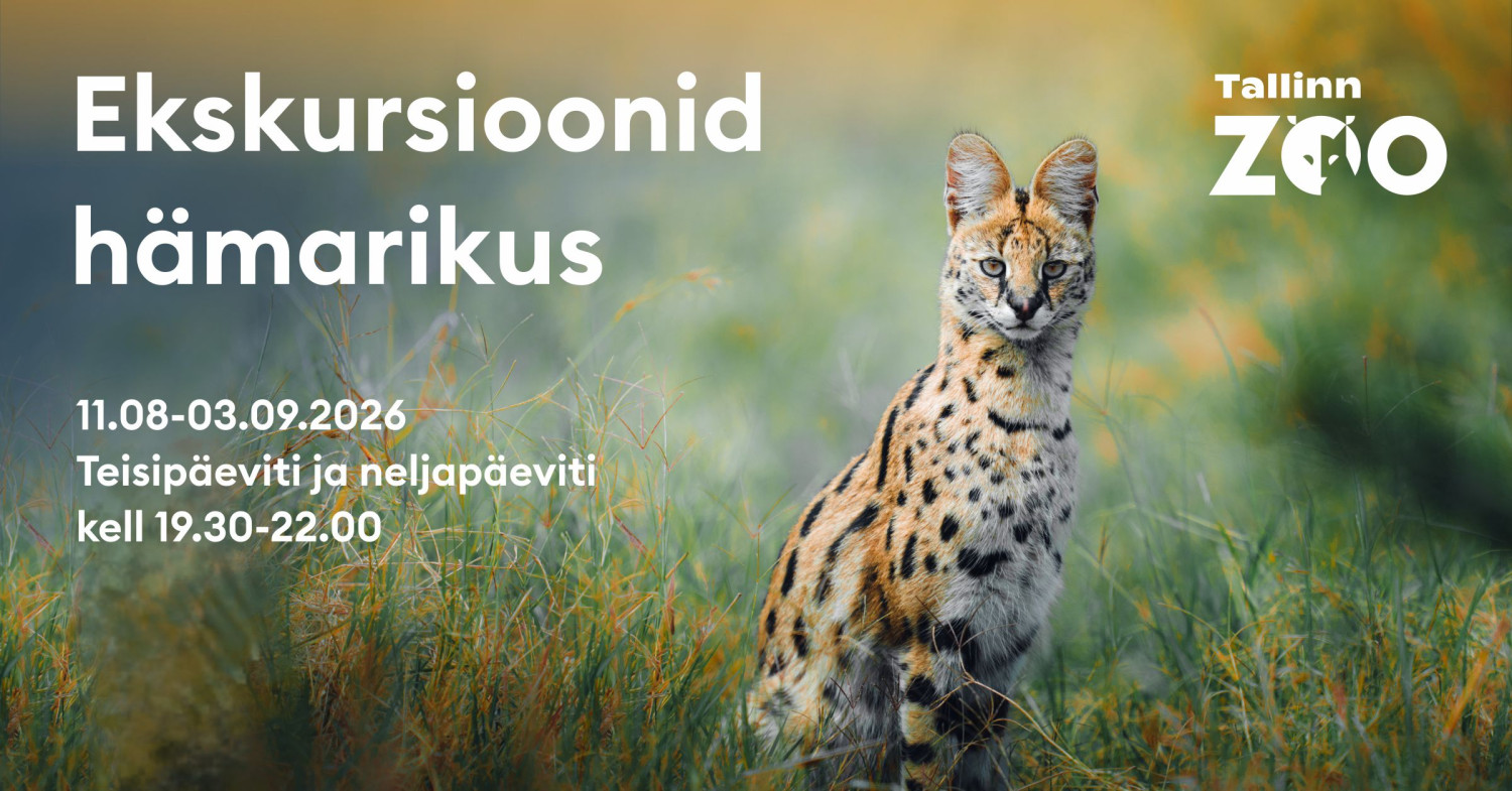 Ekskursijos prieblandoje - estų kalba / Läänevärav grupp 1