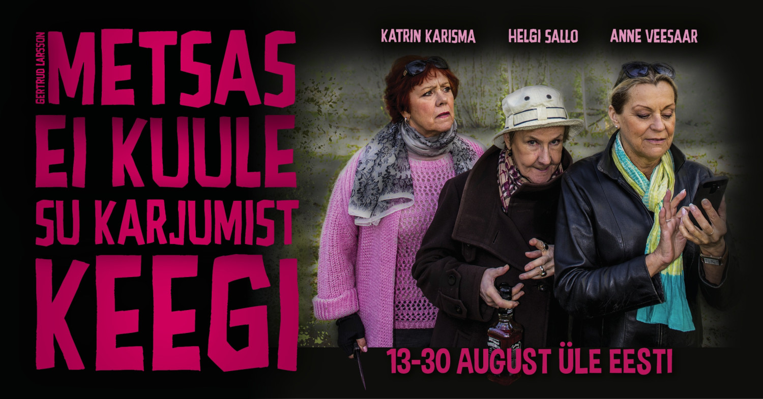 Gertrud Larsson „Niekas negirdi, kaip jūs miške rėkiate“
